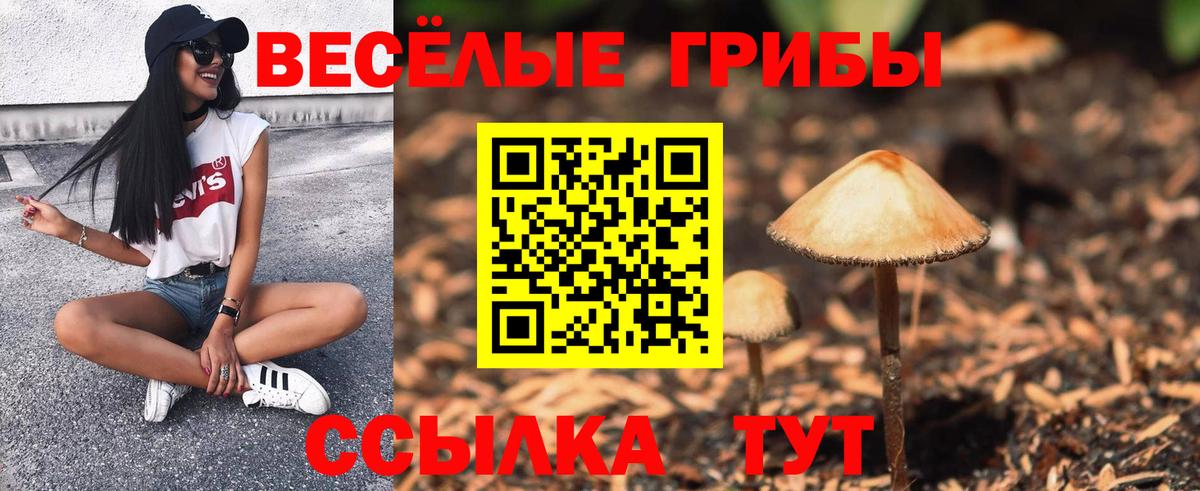 Нововоронеж  Псилоцибиновые грибы Psilocybe  Вход с VPN 